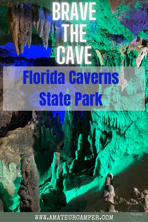 Looking for an adventure? Head to Florida Caverns State Park, where you can brave the cave and explore its many wonders. Florida Caverns, Florida Caverns State Park, Florida Campgrounds, Florida Camping, Florida State Parks, Holiday Travel Destinations, Camper Camping, Camping Destinations, States In America