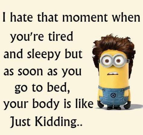 15 Amazing Minion quotes inspired by life | THE CHAMPA TREE | Parenting Blog | Indian Motherhood Blogger Jenaka Kelakar, Quotes Funny Life, Funny Minion Memes, Minion Pictures, Minion Jokes, Minions Love, A Minion, Minion Quotes, Funny Minion Quotes