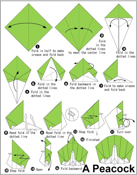 Origami Peacock Origami Instructions Animals, Origami Animals Easy, Origami Cool, Bookmarks Origami, Origami Peacock, Origami Instructions For Kids, Dragon Origami, Origami Kids, Animal Origami