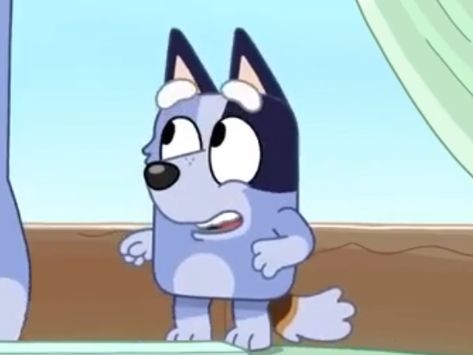 Bluey Socks, Bluey Icons, Bluey Wallpapers, Bluey Fanart, Bluey Stuff, Bluey Bluey, Silver The Hedgehog, Family Show, Cat Boarding