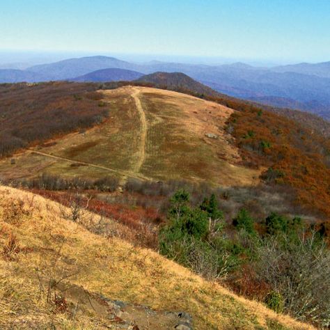 Appalachian Trail: Sams Gap to Big Bald Mountain | WNC Magazine Bald Mountain, Pisgah National Forest, Greene County, The Appalachian Trail, Cabin Vacation, Continental Divide, Thru Hiking, Pacific Crest Trail, Appalachian Mountains