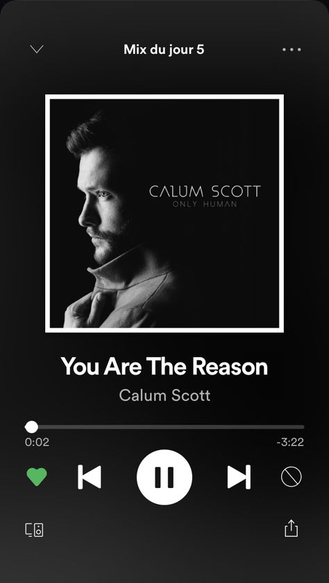 Reason Song, Song Lyric Tattoos, Calum Scott, Reason Quotes, Lyric Tattoos, Vow Renewal Ceremony, Real Love Quotes, Taurus Facts, Romantic Gestures