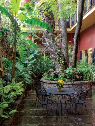 New Orleans Courtyards - Acadiana Profile Mexican Courtyard, Italian Courtyard, Courtyard Apartments, Golden Rain Tree, French Courtyard, Flagstone Pathway, Indoor Courtyard, Courtyard Landscaping, Garden Decoration Ideas