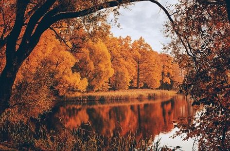 Seek Adventure Disney Instagram, Ends Of The Earth, Street Fashion Photography, Autumn Beauty, Landscape Illustration, Autumn Landscape, Autumn Cozy, Autumn Trees, Autumn Inspiration