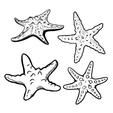 Starfish Tattoo Designs, Star Fish Drawings, Draw Starfish, Starfish Sketch, Star Fish Tattoo, Starfish Drawing, Stars Shape, Shape Icons, Starfish Tattoo