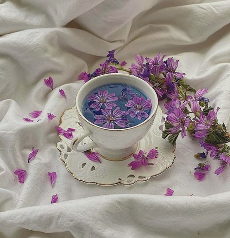 Wellness Tea, Lavender Aesthetic, Pretty Drinks, What Is Happening, + Core + Aesthetic, Flower Tea, Purple Aesthetic, Tea House, Nature Aesthetic