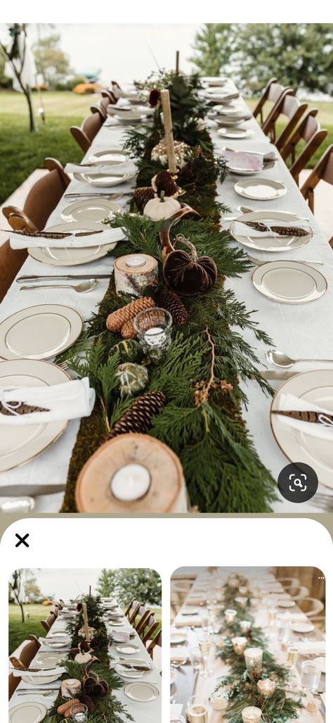 Bridal Shower Grazing Table, Rustic Sage Green Wedding, Grazing Table, Sage Green Wedding, Grazing Tables, Green Wedding, Pine Cones, Fern, Sage Green