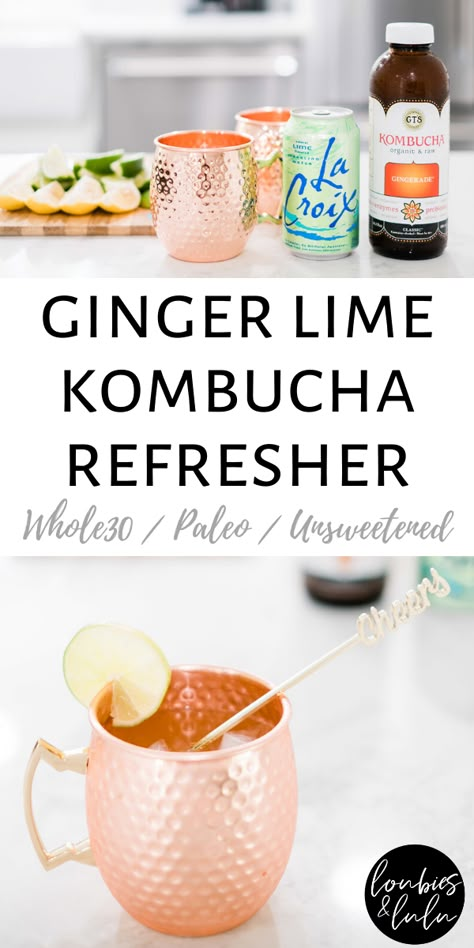 No Sugar Mocktails Non Alcoholic, Kombucha Drink Recipes, Gut Friendly Mocktail, No Sugar Mocktail, Paleo Mocktails Non Alcoholic, Sugar Free Non Alcoholic Drinks, Sugar Free Mocktail, Mocktail Recipe Healthy, Alcohol Alternative Drinks