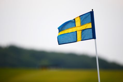 Is Sweden Ungovernable? The rise of populist parties has made it nearly impossible to form governments across Europe—and the deadlock only fuels support for populists. Swedish Men, A Man Called Ove, Swedish Flag, Fossil Fuels, Military Forces, Countries Of The World, Finland, Fossil, Wind Sock