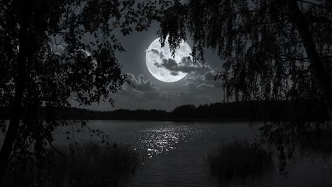 Nature Full Moon Night Landscape With Forest Lake. Stock Footage ... Laptop Wallpaper Moon Aesthetic, Moon Background Laptop, Moon Wallpaper Laptop Hd, Black Aesthetic Landscape, Destop Wallpaper, Macbook Pro Wallpaper, Forest Moon, Dark Landscape, Full Moon Night