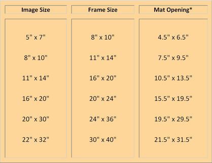 Standard photo mat and frame sizes Standard Picture Frame Sizes, Cheap Picture Frames, Picture Frame Mat, Picture Frame Sizes, Picture Frame Molding, Photo Matting, Frame Matting, Photography Pictures, Crafty Diy