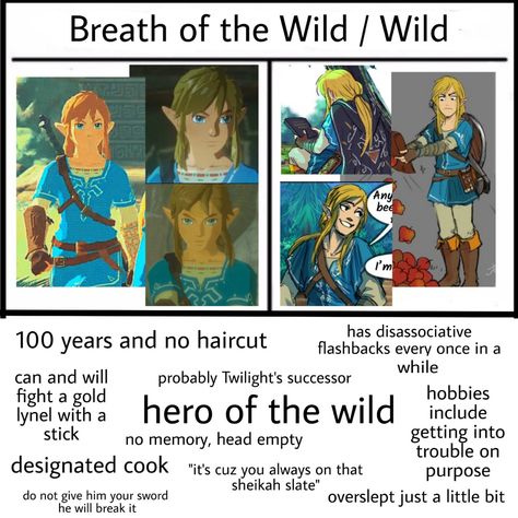 Different Links Zelda, Botw Memes Hilarious, Linked Universe Wild, Breath Of The Wild Funny, Link Botw Fanart, Legend Of Zelda Funny, Link X Zelda, Zelink Botw, Link Cute