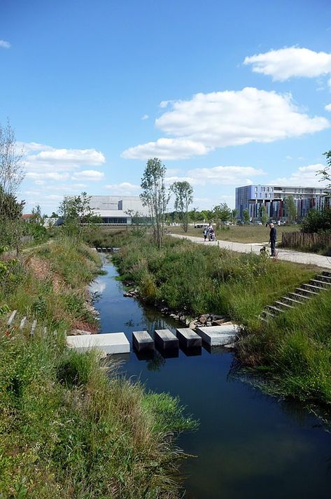 Bottière Chênaie Eco-district by Atelier des Paysages Bruel-Delmar — Landscape Architecture Platform | Landezine Riverine Landscape, Riparian Landscape, Landform, Landscape Architecture Design, Dry Creek, Garden Architecture, Water Management, Rain Garden, Landscaping Tips