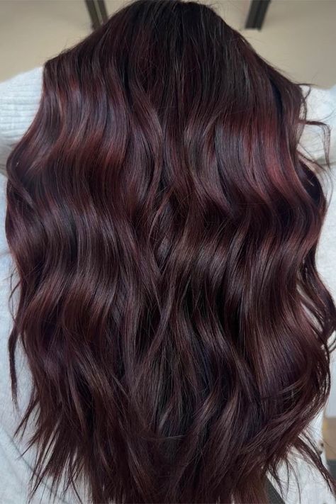 Dark Hair Color Ideas Red Tint, Hair Colour Red Brown, Dark Brown Maroon Hair, Raspberry Brunette Hair, Cherry Red Hair On Brown Hair, Cherry Red Hair On Black Hair, Dark Red Chocolate Hair, Brunette Cherry Hair, Dark Brown Hair With A Hint Of Red