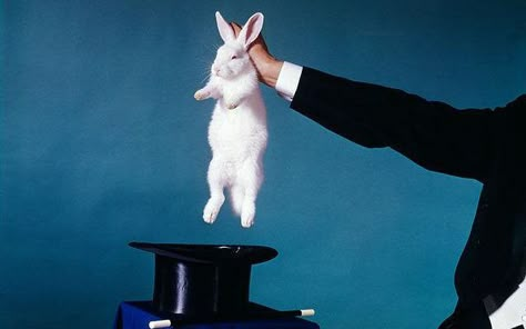 Bunny Magician Costume, Magic Show Aesthetic, Magician Rabbit Costume, Magic Trick Aesthetic, Magic Tricks Aesthetic, Victorian Magician, Magician Pulling Rabbit Out Of Hat, Old Magician, Best Magic Tricks