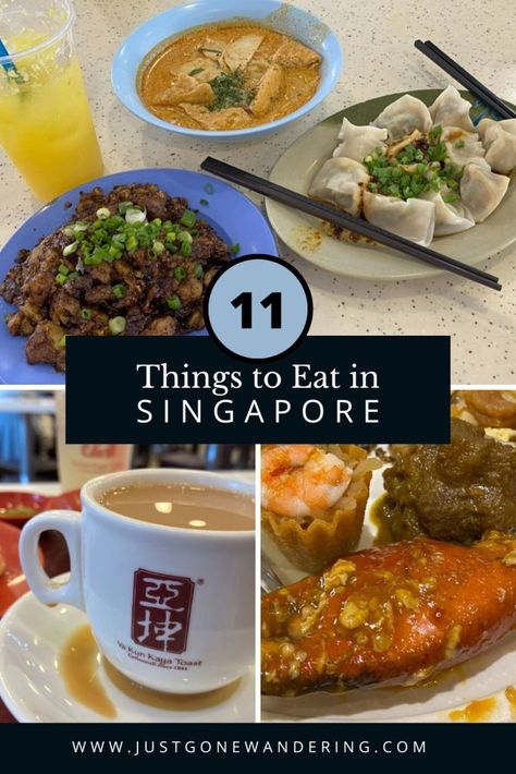 What To Eat In Singapore, Orchard Singapore, Chili Crab, Singapore Itinerary, Hainanese Chicken, Singapore Sling, Foods To Try, Singapore Food, Chicken Satay