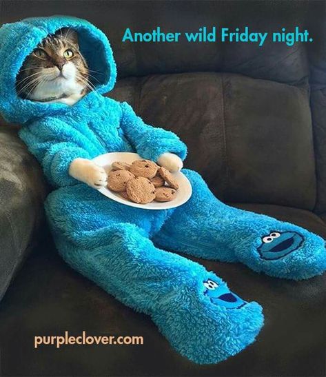 Another wild Friday night! ... I should put the cookie monster snuggie on my Christmas wishlist board too Fitness Humor, Gym Quotes, Slaap Lekker, Funny Fitness, Cat Pajamas, Funny Gym, Bon Weekend, Gym Memes, Cat Club