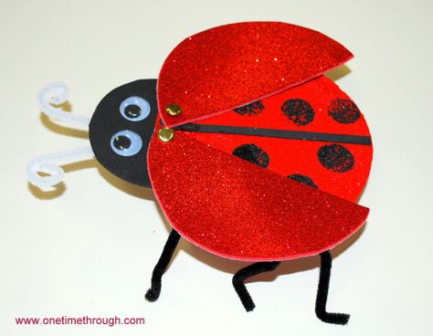 Cute 3D Ladybug Craft Bowling Ball Ladybug, Crafts Using Paper, Easy Activities For Kids, Insect Study, Ladybug Craft, Positive Parenting Advice, Afternoon Crafts, Diy Project Ideas, Pirate Crafts