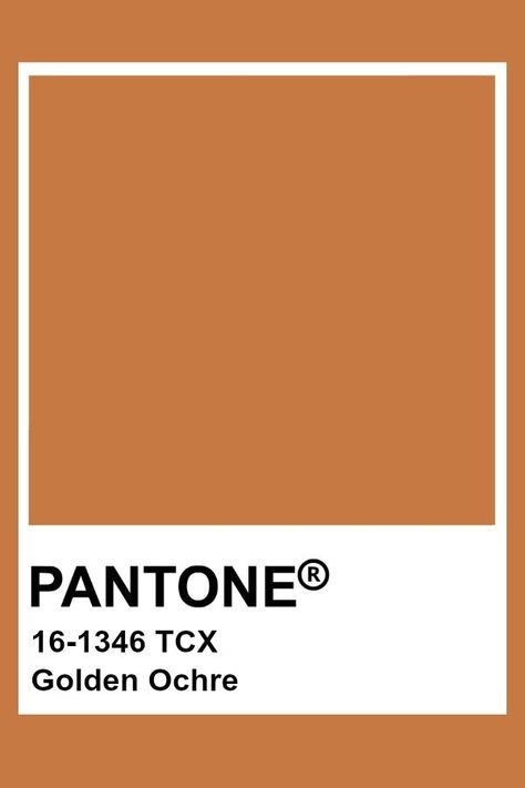 2019-2020 Autumn Winter "Noon" Golden Ochre Pantone Rose, Contact Photos, Pantone Tcx, Pantone Colours, Pantone Swatches, Pantone Palette, Pantone Colour Palettes, Wild Ginger, Deco Rose