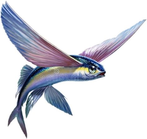 Flying Fish Drawing, Flying Fish Art, Fish Png, Bionic Design, Salt Water Fish, Flying Fish, Fish Illustration, Fish Drawings, Desenho Tattoo