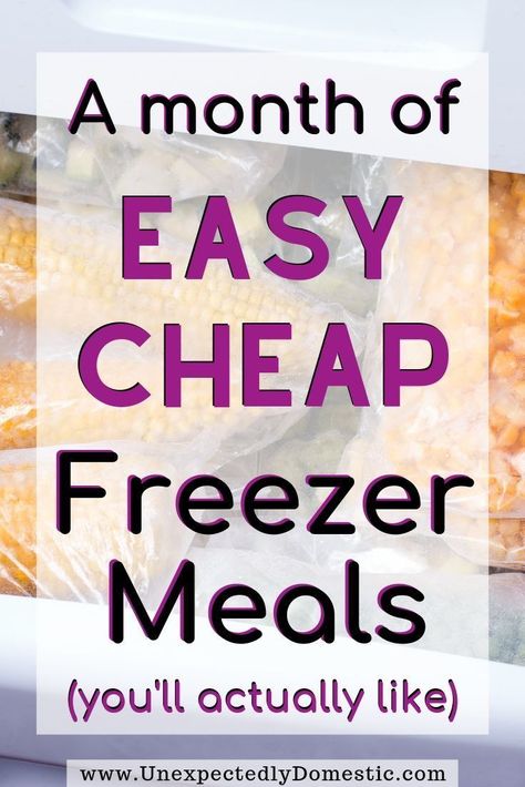 A month of cheap easy freezer meals! Fill your freezer with these healthy, homemade, make ahead dinners. Perfect when you're short on time and on a budget! Whether you're trying eat healthy, cooking for two, or making these meals for new moms, these ideas will fill your freezer for cheap (even perfect for beginners!) They can be made in the cockpit, instant pot, including chicken and vegetarian dinners. Kid friendly too! #freezermeals #freezerfriendly #freezercooking #easydinnerideas Make Ahead Dinners, Fill Your Freezer, Meals For New Moms, Vegetarian Freezer Meals, Easy Cheap Dinner Recipes, Freezer Dinners, Budget Freezer Meals, Freezable Meals, Freezer Meal Planning