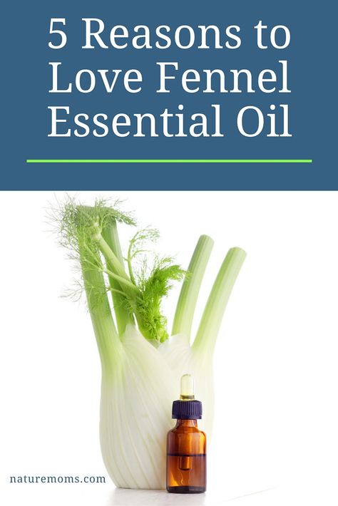 Fennel Oil Benefits, Fennel Essential Oil Uses, Benefits Of Fennel, Essential Oils For Nausea, Fennel Oil, Fennel Essential Oil, What Are Essential Oils, Essential Oil Remedy, Oil Remedies