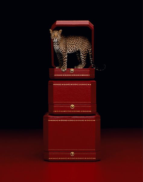 Jewelry Packaging Design, Wild Animal Wallpaper, Safari Chic, Perfume Design, Animal Print Fashion, Cartier Jewelry, Cartier Watch, Christmas Mood, Wild Animal