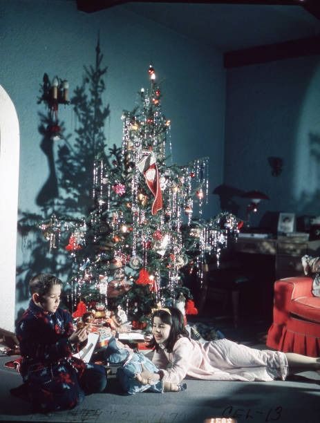 6,104 1960s Christmas Photos & High Res Pictures - Getty Images 1960 Christmas, Old Window Decor, Thanksgiving Floral Arrangements, 1960s Christmas, Cozy Christmas Living Room, Thanksgiving Floral, Christmas Fireplace Decor, How To Make Christmas Tree, Gold Christmas Decorations