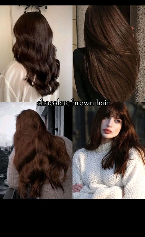 #ShineAndSleekHairstyleWomanMedium #ShineAndSleekHairstyleWomanWomens #ShineAndSleekHairstyleWomenO #ShineAndSleekHairstyleWomenP #ShineAndSleekHairstyleWomanQuotes #ShineAndSleekHairstyleWomenR #ShineAndSleekHairstyleWomanWomen's #ShineAndSleekHairstyleWomanWomen's2024 Light Brown Hair On Black Hair, Cocoa Hair Color Brunettes, Brown Hair Color With Dimension, Brown Hair For Older Women, Chocolate Brown Hair Aesthetic, Cool Toned Dark Brown Hair Pale Skin, Hair Color Brown Chocolate, Milk Brown Hair Color, Cocoa Brown Hair Color