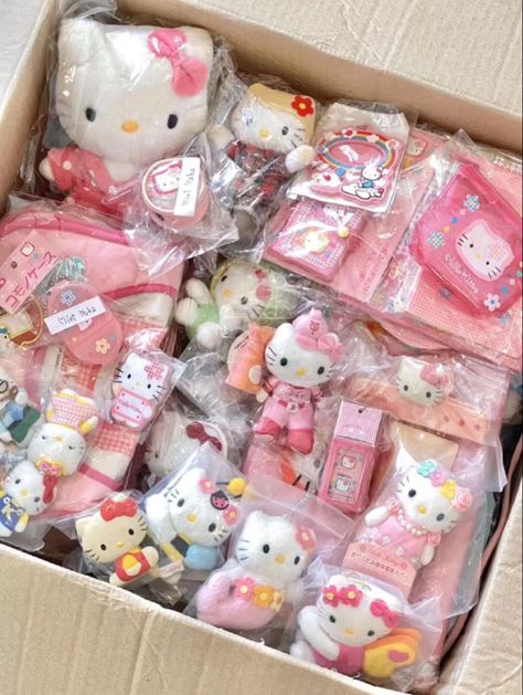 Sanrio Items Aesthetic, Sanrio Gifts, Sanriocore Aesthetic, Hello Kitty Stuff, Cute Best Friend Gifts, Sanrio Items, Otter Illustration, Sanrio Things, Sanrio Aesthetic