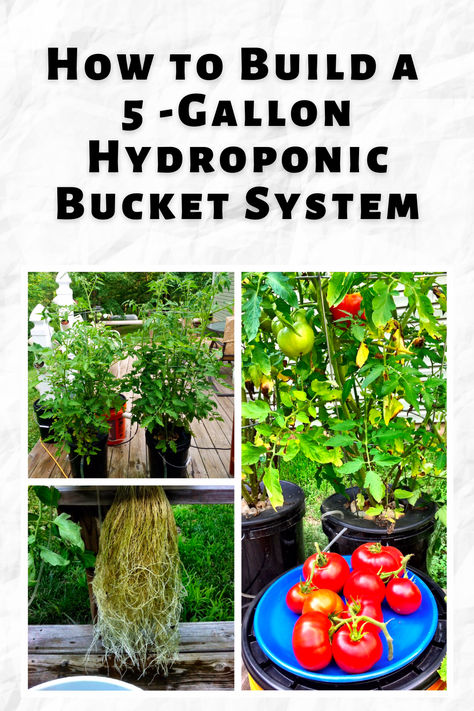 How to Build a 5-Gallon Hydroponic Bucket System 5 Gallon Bucket Hydroponics, Hydroponic Vegetables Indoor, Bucket Hydroponics Diy, Hydroponic Seed Starting, Bucket Gardening 5 Gallon Stand, Diy Hydroponic Garden Indoor, Bucket Gardening 5 Gallon, Garden Ideas Recycled, Bucket Garden Ideas