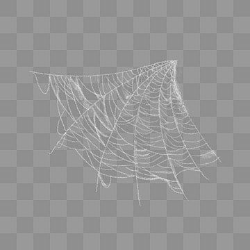 Jaring Laba Laba, Spider Web Png, Marcos Halloween, Spider Insect, Spider Web Halloween Decorations, Spider Net, Dekorasi Halloween, Spider Silk, Web Spider