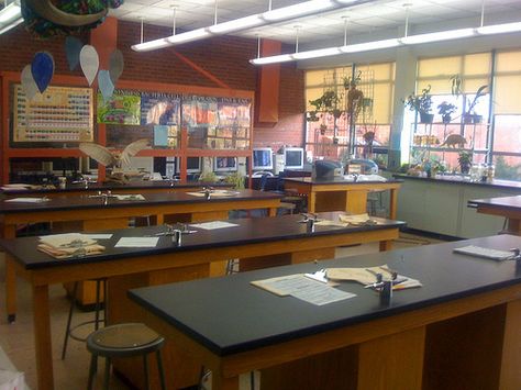 science lab Bakery Inspiration, Science Room, Teacher Aesthetic, Classroom Pictures, Classroom Style, Biology Classroom, Classroom Layout, Twilight Series, High School Classroom