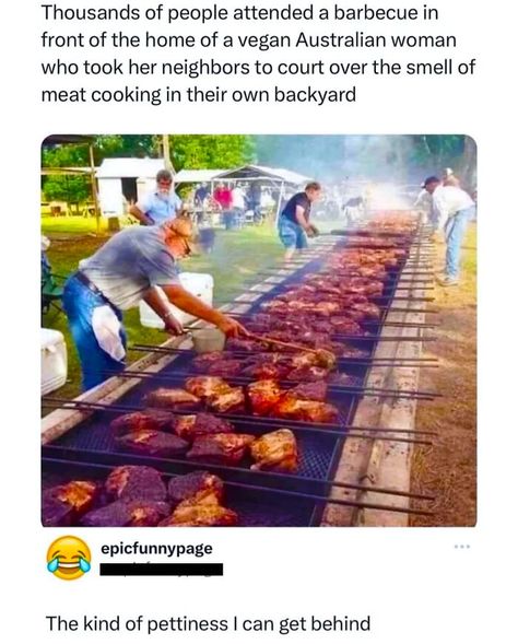 Meanwhile In Australia, Funny Memes About Girls, Heartwarming Stories, Cooking Meat, Edgy Memes, Memes Funny, Popular Memes, Funny Posts, Picture Show