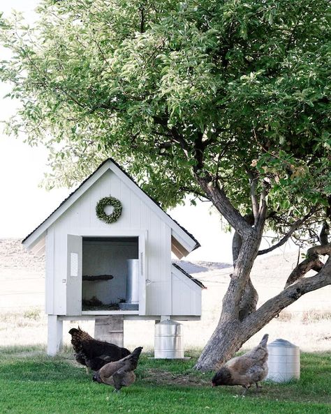 Small Raised White Chicken Coop Diy Coop, Chicken Coop Blueprints, Backyard Coop, Small Chicken Coops, Cute Chicken Coops, Easy Chicken Coop, Chicken Coop Decor, Chicken Coup, Diy Chicken Coop Plans