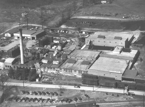 Pet Milk Company Greeneville, Tennessee 1947 Greeneville Tennessee, Greene County, East Tennessee, Once Upon A Time, Tennessee, Milk, Pet, History