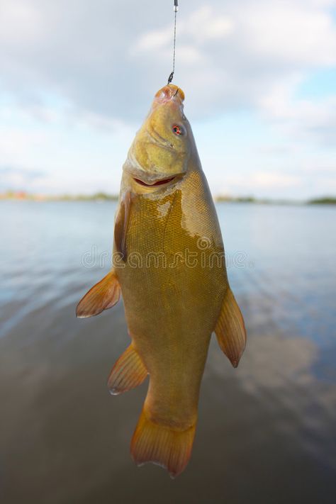 Fish On Hook, Fish On A Hook, Man Vs Nature, Wearable Sculpture, Shrinky Dink, Crappie Fishing, Fishing Hook, Man Vs, Drawing Inspo