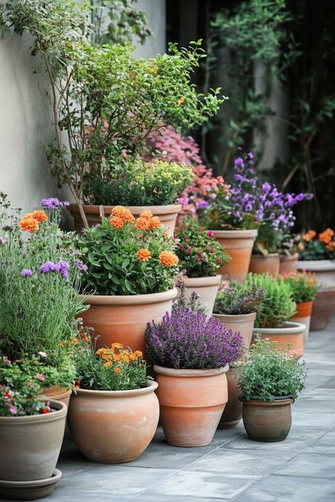 Innovative Container Garden Designs are a versatile and sustainable choice for any gardener! 🌿🪴 Experiment with creative combinations of plants in unique containers, transforming small spaces into lush gardens. Easy to arrange and bursting with innovation, these designs are perfect for patios, balconies, and urban gardens. Start your container garden journey today! 🌸🌿 #ContainerGardening #SustainableLiving #GardenIdeas #CreativeGardening Urban Gardens, Container Garden Design, Small Patio Garden, Front Garden Design, Cottage Garden Design, Culture Magazine, Italian Garden, Garden Containers, Mediterranean Garden