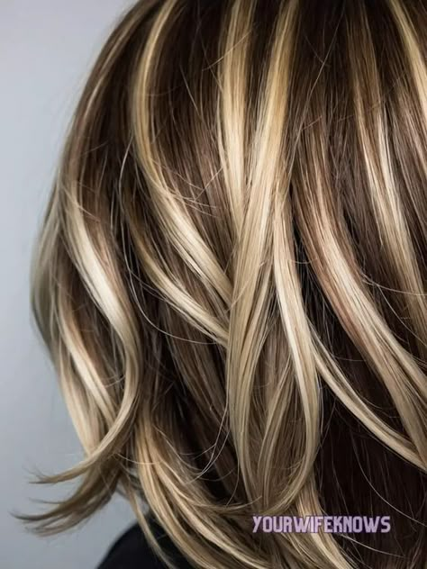 27 Stunning Hair Color Ideas to Electrify Your Summer 2024 Look Chin Length Brown Hair, Devil Cut, Haircuts For Fine Flat Hair, Short Curly Bob Haircuts, Short Curly Bob Haircut, Caramel Hair Color Ideas, Curly Bob Haircuts, Short Stacked Bob Hairstyles, Caramel Hair Color