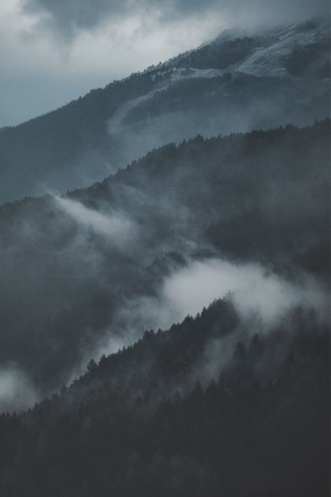 Foggy Hills, Mountain Animals, Image 3d, Free Phone Wallpaper, Nature Tree, The Fog, Dark Photography, Nature Images, Nature Aesthetic