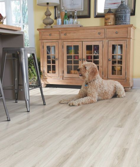 The 7 Best Pet-friendly Flooring Options for Dogs & Cats | FlooringStores Pet Stains On Hardwood Floors, Pet Friendly Carpet, Pet Safe Floor Cleaner, Best Wood Floors For Dogs, Best Floors For Dogs, Dog Friendly Flooring, Mannington Flooring, Farmhouse Kitchen Flooring, Best Flooring For Kitchen