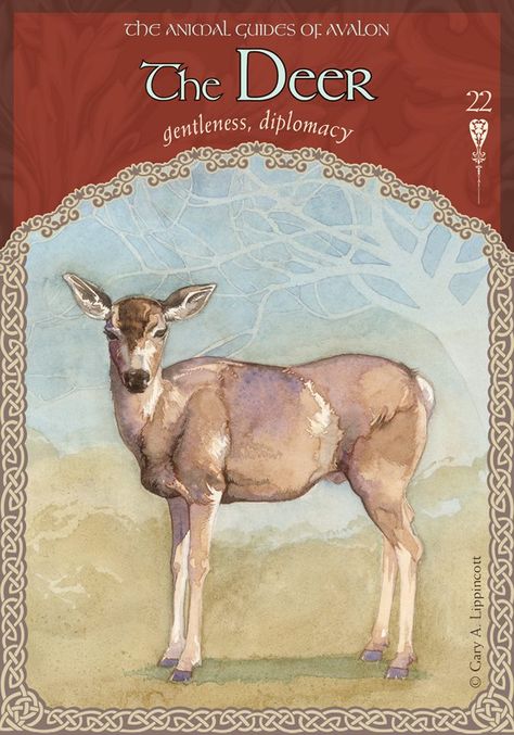 22 The Deer; Wisdom of Avalon; Colette Baron-Reid Animal Meanings, Animal Tarot, Spirit Signs, Angel Oracle Cards, Animal Spirit Guides, Divination Cards, Oracle Card Reading, Animal Guides, Angel Guidance