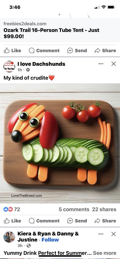 Party Veggie Tray, Veggie Tray, Puppy Party, Charcuterie Board, 3rd Birthday, Dachshund, A Dog, Sandwiches, Do It