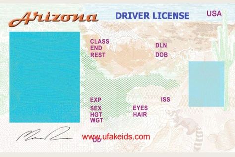 Blank Id Cards, Employee Id Card, Fake Identity, Passport Template, Birth Certificate Template, Vet Medicine, Credit Card Hacks, Driver License, Id Card Template