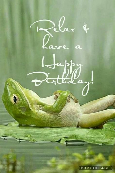 Happy Birthday Frog, Birthday Frog, Funny Happy Birthday Pictures, Funny Birthday Meme, Funny Happy Birthday Wishes, Birthday Wishes For Brother, Frog Pictures, Happy Birthday Quotes Funny, Birthday Wishes Funny