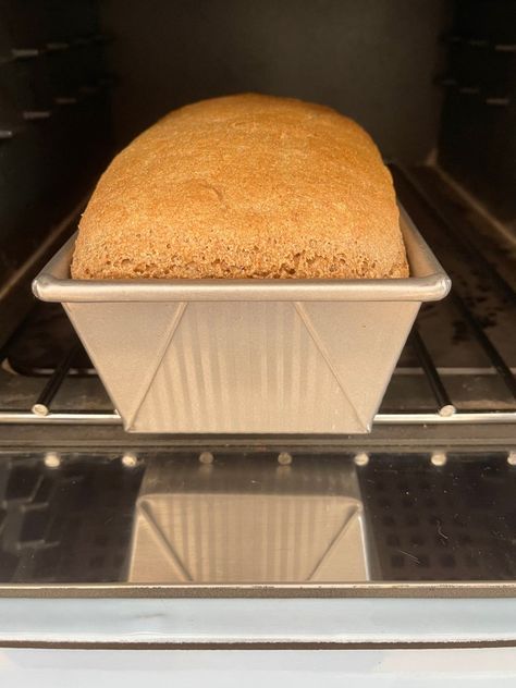 Spelt Bread Recipe - One Hundred Dollars a Month Spelt Sandwich Bread Recipe, Spelt Flour Bread, Spelt Bread Recipe, Spelt Flour Recipes, Kamut Flour, Spelt Bread, Bread Maker Recipes, Grain Bread, Spelt Flour