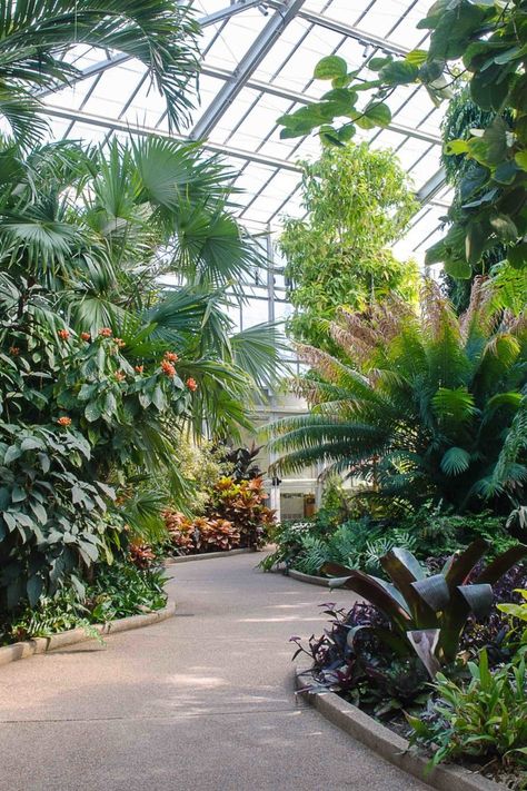 Atrium Garden, Greenhouse Venue, Tropical Greenhouses, Earthship Home, Luxury Garden, Indoor Flowers, Tropical House, Plant Aesthetic, Earthship