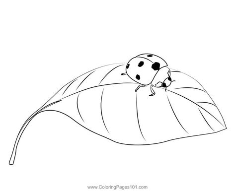 Ladybug On A Leaf Coloring Page Ladybug On Leaf Drawing, Ladybug On A Leaf Tattoo, Simple Ladybug Drawing, Ladybug Line Art, Lady Bird Drawing, Ladybug Stencil, Ladybug Outline, Ladybug Doodle, Leaf Drawing Easy