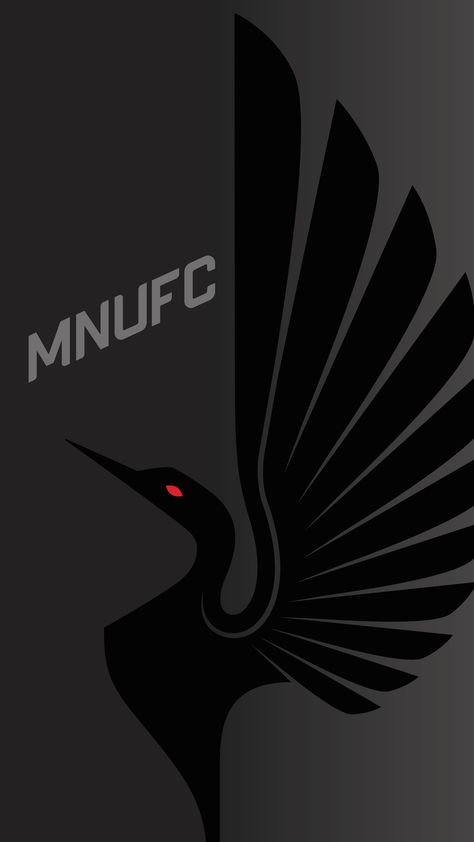 Academy Design, Ea Sports Fifa, Fifa Football, Minnesota United Fc, Minnesota State, Ea Sports, Cool Wallpaper, Football Club, Fifa