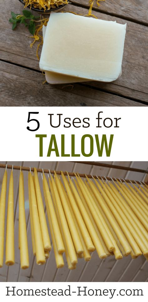 Tallow Recipe, Tallow Candles, Homesteading Diy, Beef Tallow, Homesteading Skills, Urban Homesteading, Homemade Soap Recipes, Off Grid Living, Soap Recipes